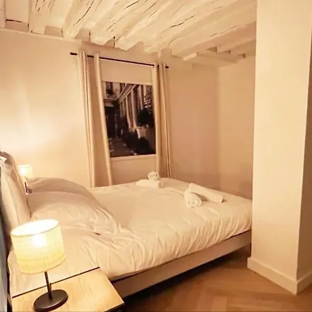 Magnificient Parisian Flat - Parisian Heart