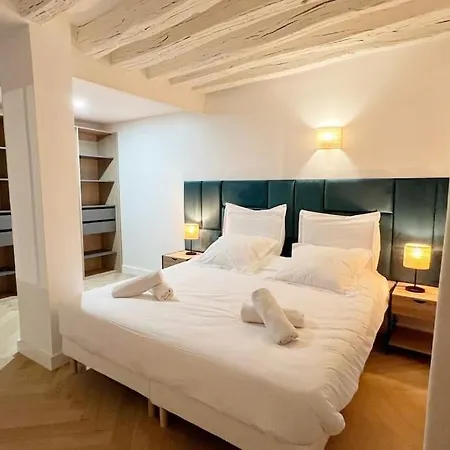 Magnificient Parisian Flat - Parisian Heart Paryż