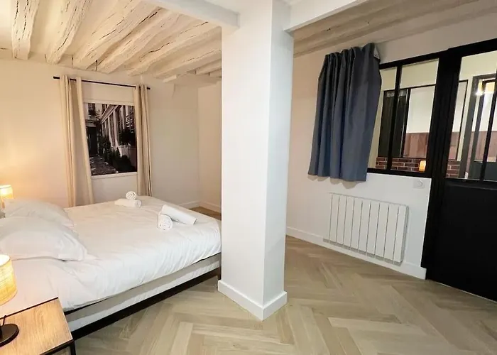 Magnificient Parisian Flat - Parisian Heart Appartement *