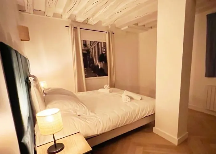 Magnificient Parisian Flat - Parisian Heart
