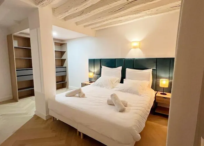 Magnificient Parisian Flat - Parisian Heart Paris
