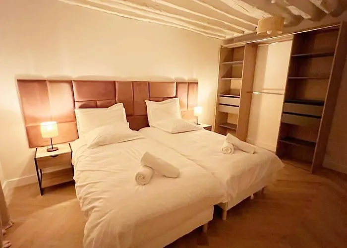 Magnificient Parisian Flat - Parisian Heart * Paris