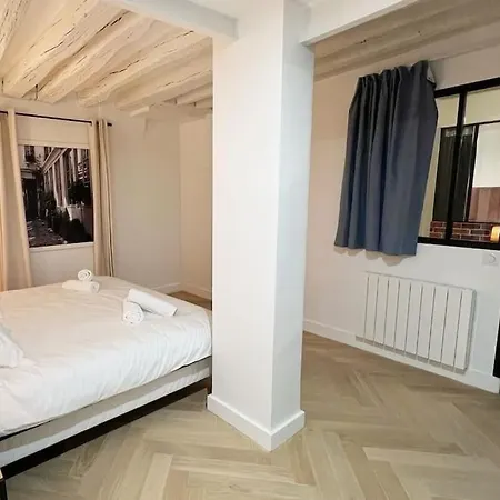 Magnificient Parisian Flat - Parisian Heart Apartment *