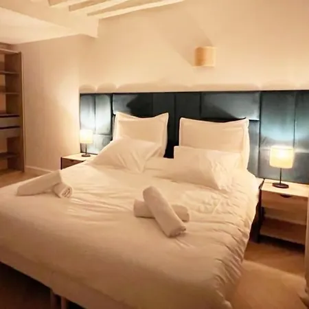 Apartment Magnificient Parisian Flat - Parisian Heart