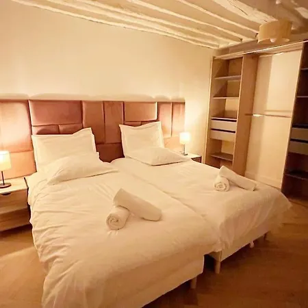Magnificient Parisian Flat - Parisian Heart * Paris
